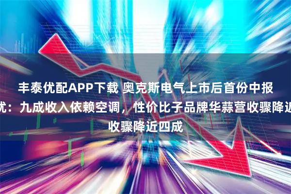 丰泰优配APP下载 奥克斯电气上市后首份中报揭隐忧：九成收入依赖空调，性价比子品牌华蒜营收骤降近四成