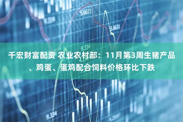 千宏财富配资 农业农村部：11月第3周生猪产品、鸡蛋、蛋鸡配合饲料价格环比下跌