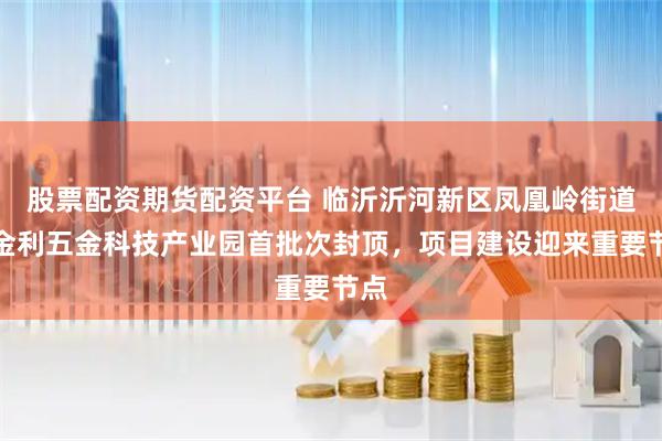 股票配资期货配资平台 临沂沂河新区凤凰岭街道：金利五金科技产业园首批次封顶，项目建设迎来重要节点